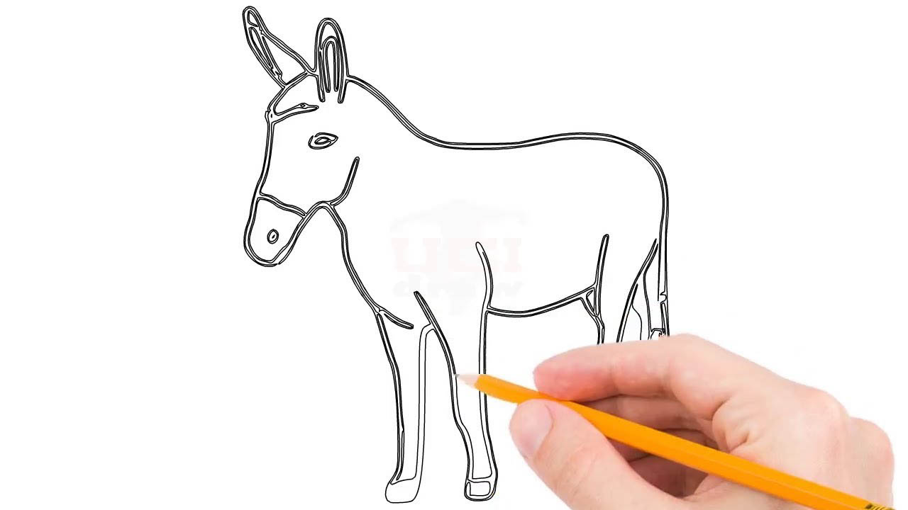 How to Draw A Donkey